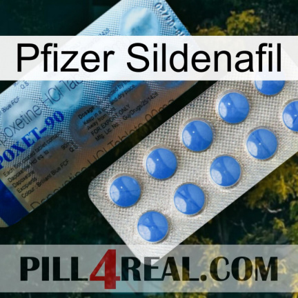 Pfizer Sildenafil 40